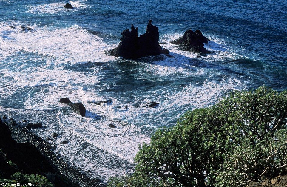 The Canary Islands are one of the most popular tourist destinations in the world and those in the know head for the east coast of Tenerife with its low-key beach towns and scenic mountain ridge