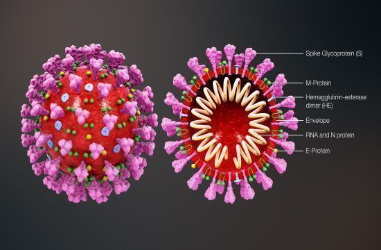 3D_medical_animation_coronavirus_structure_First_global_Hellenic_Medical_Teleconference_on_the_coronavirus_948122879