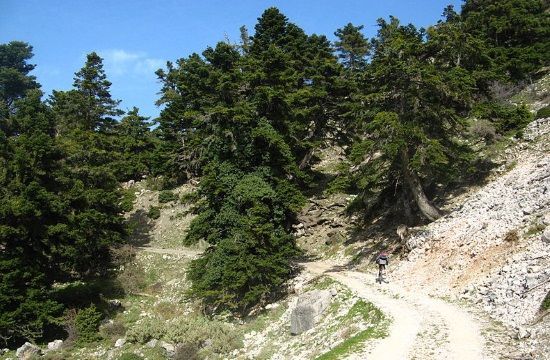 800px_Ascening_path__Panachaiko_Mountains__Greece_Network_of_walking_Greek_paths_of_Culture_wins_Europa_Nostra_award_389671005