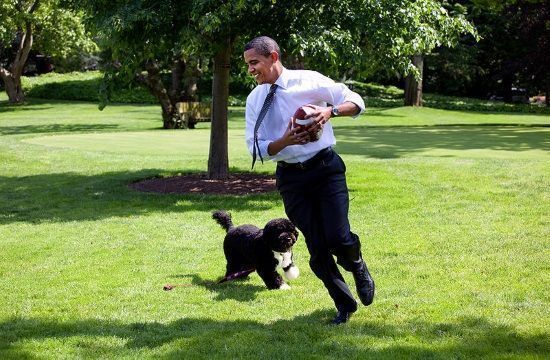 800px_Barack_Obama_runs_away_from_the_family_dog_2009_05_12_473264279