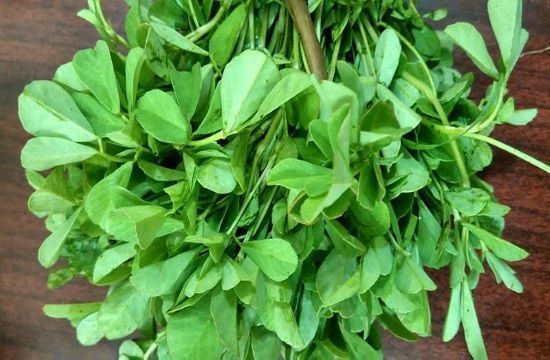 Aesthetic_bunch_of_fenugreek_greens_herbs_greek_votana_medicine_334003382