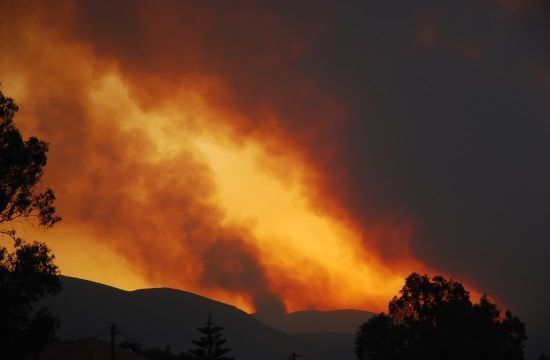 Greece_Forest_Fire_July_25_2007_413503576