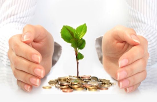 Investment_345008918_446444572