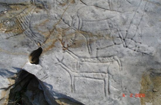 Paggaio_prin_2_451x338_Ancient_carvings_scraped_off_rocks_on_Pangaion_Hills_by_vandal_gold_diggers_167758973