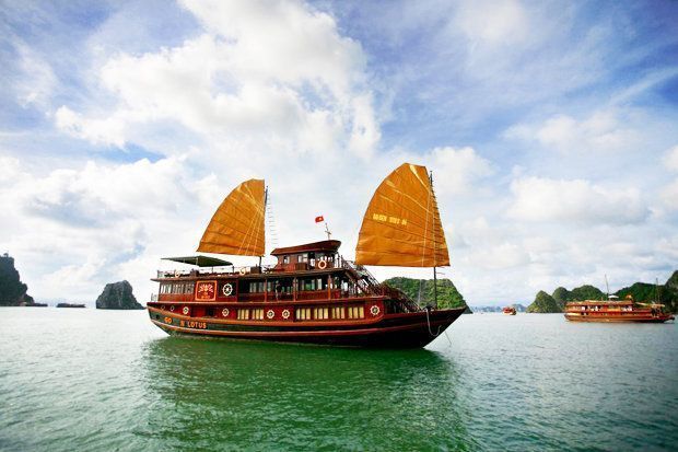 The Golden Lotus Cruise
