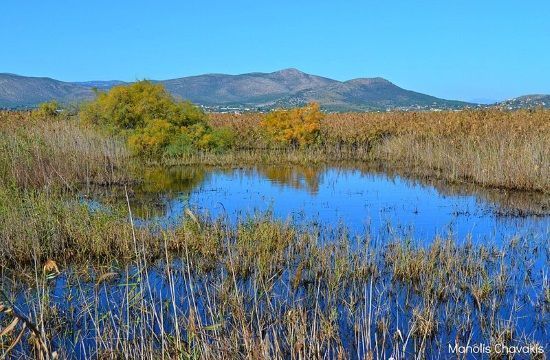 ________________11.2015_schinias_856040616