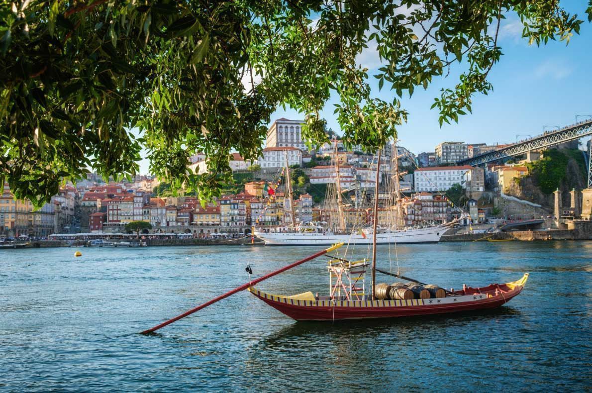 Douro Valley vineyard Portugal - Best Wine Destinations in Europe