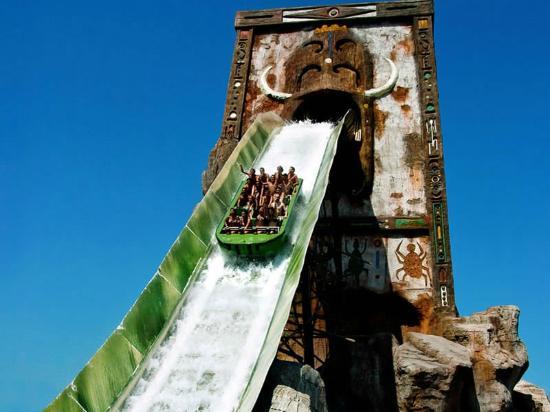 Jungle Splash (41078492)