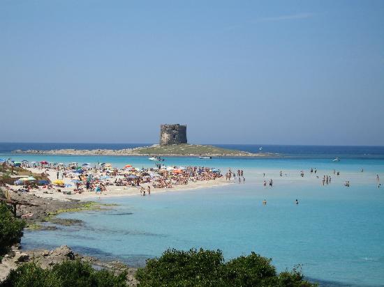 La Pelosa beach, Sardinia (17779170)
