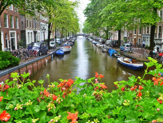 One of the many canals populated with flowers, boats, bicycles and mini cars (177106546)
