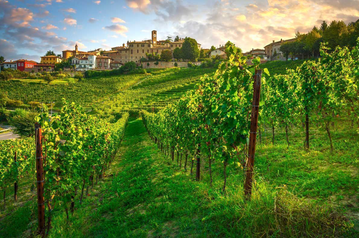 Piedmont vinyards Italy - Best wine destinations in Europe