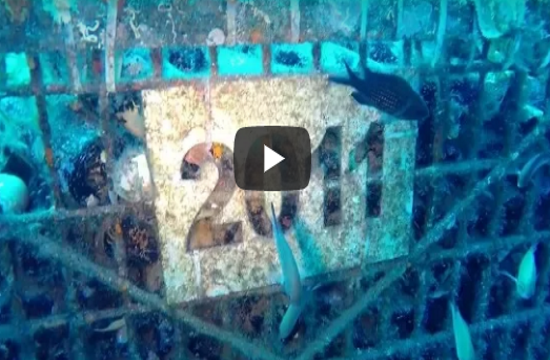thalassitis_underwater_wine_from_video_print_screen_ok_166308090